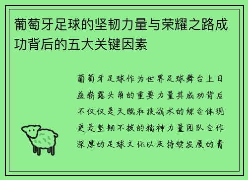 葡萄牙足球的坚韧力量与荣耀之路成功背后的五大关键因素