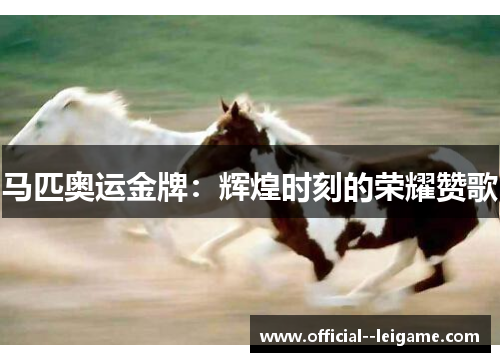 马匹奥运金牌：辉煌时刻的荣耀赞歌