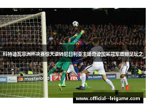 科特迪瓦非洲杯决赛惊天逆转尼日利亚主场奇迹加冕冠军震撼足坛之