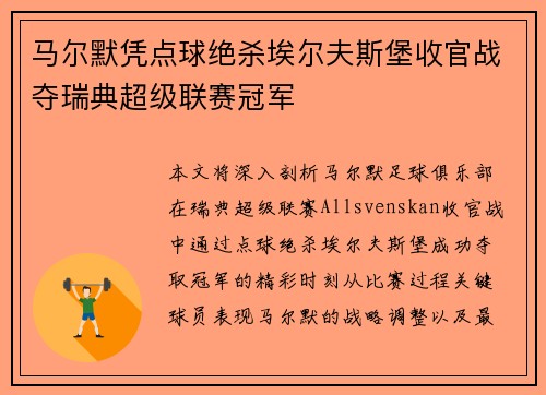 马尔默凭点球绝杀埃尔夫斯堡收官战夺瑞典超级联赛冠军