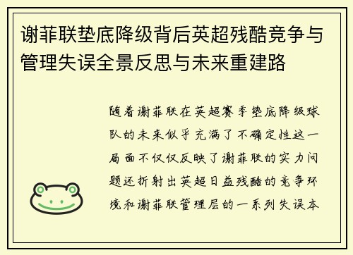 谢菲联垫底降级背后英超残酷竞争与管理失误全景反思与未来重建路 谢菲联垫底降级背后英超残酷竞争与管理失误全景反思与未来重建路